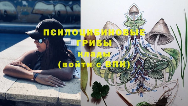 ГАЛЛЮЦИНОГЕННЫЕ ГРИБЫ Алзамай