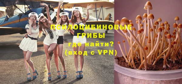 ГАЛЛЮЦИНОГЕННЫЕ ГРИБЫ Алзамай