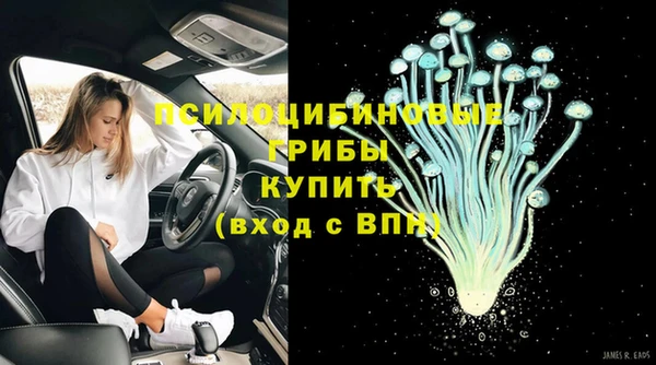 ГАЛЛЮЦИНОГЕННЫЕ ГРИБЫ Алзамай